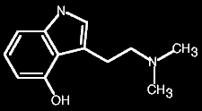 psilocin.gif (2239 bytes)
