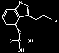 norbaeocystin.gif (2376 bytes)